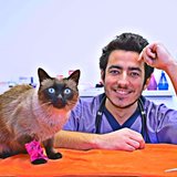 Hero Vet - Cabinet Veterinar